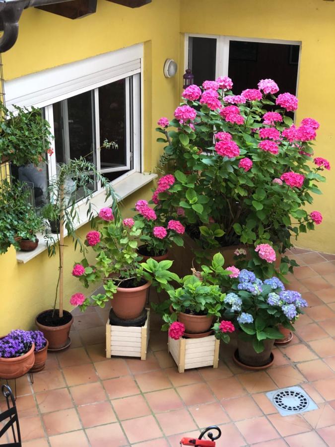 Hostal Escartin Sabiñánigo Eksteriør bilde